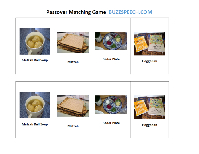 Passover Matching Game