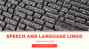 Speech and Language Lingo Broken Down