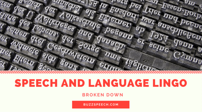 Speech and Language Lingo Broken Down