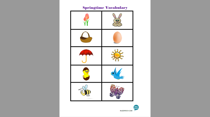 Spring Vocabulary